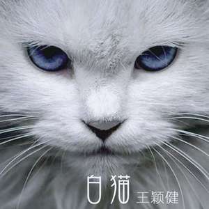 白猫