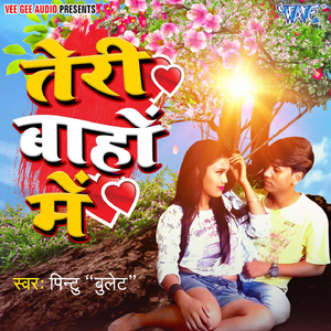 Teri Baho Me