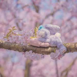 微信置顶（Punk Version）