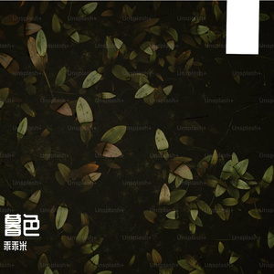 雾色-整曲