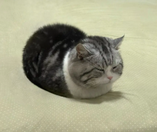 往事只能回味