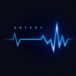 Artery