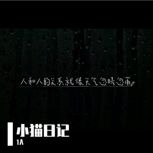 小猫日记