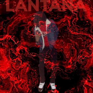 LANTANA