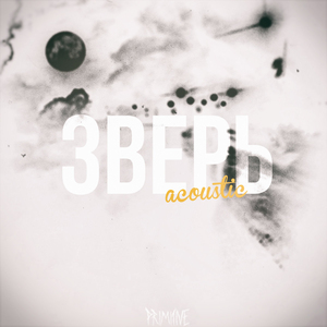 Зверь (Acoustic)
