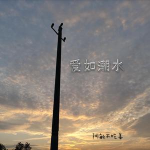 爱如潮水（温柔女声版）