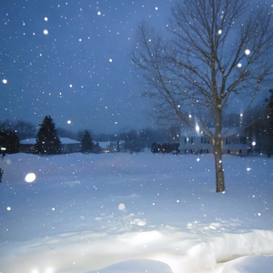 短暂的相遇好像是在惩罚认真的人