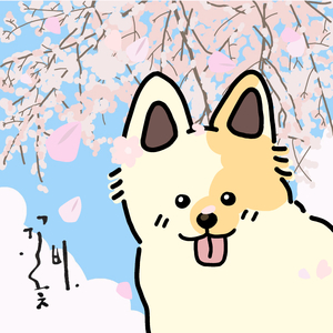 꽃비야