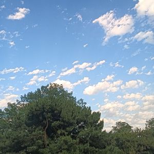 离别（纯音乐）