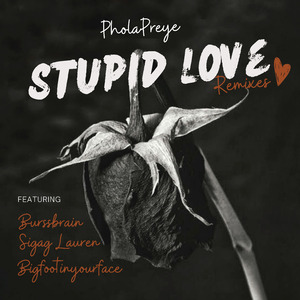 Stupid Love [Sigag Lauren Dance Mix]