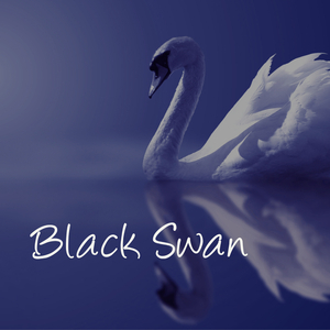 The Black Swan