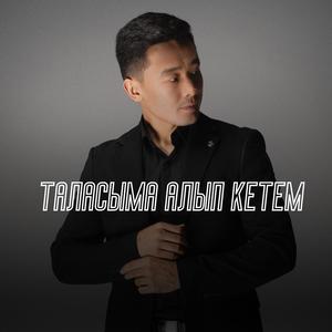 Таласыма алып кетем