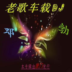 不嫁高富帅不爱美富白 (车载DJ)