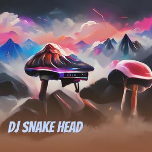 Dj Snake Head