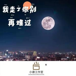 大眠（DJ康总版）