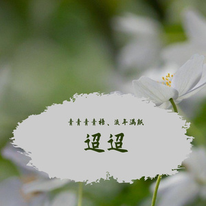 迢迢