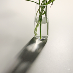 동화(冬花)(feat.이예지)