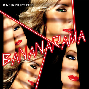 The Runner (Buzz Junkies 7" Mix)