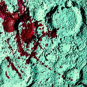 月下独奏 (In the Moonlight, Alone)