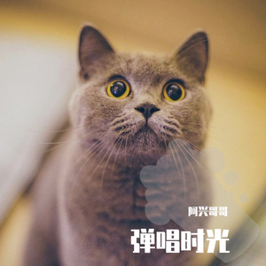 点歌的人（片段）