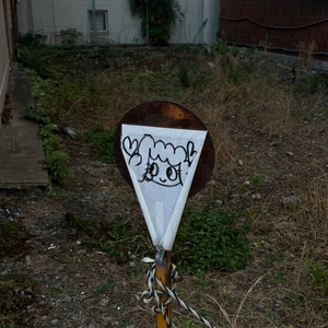 一生中最爱（sun's cover)