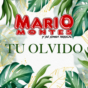 Tu Olvido