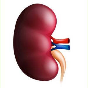 KIDNEY FAILURE