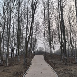 我明明什么都明白