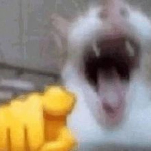 Double Trouble (slowed)