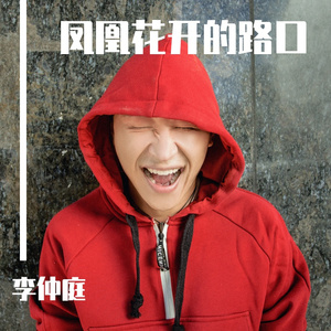 凤凰花开的路口