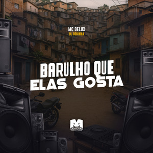 Barulho Que Elas Gosta