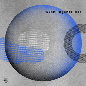 Weaver's Cave (Sequoyah Tiger Remix)