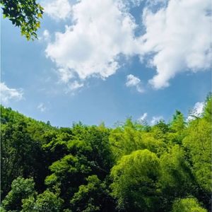 中华人民共和国进行曲