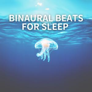 Overnight Calm: Binaural Waves Journey