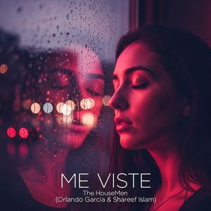 Me Viste