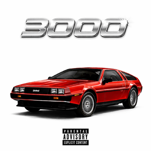 3000