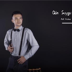 Qin Soygu