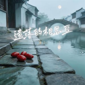 遗落的相思豆 伴奏