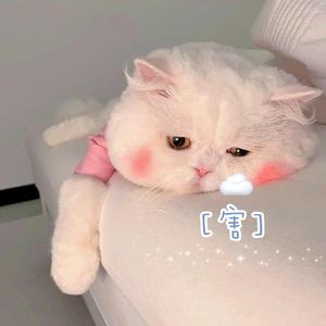 飞奔向你♡（翻自 于贞）