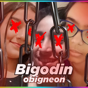 Bigodin