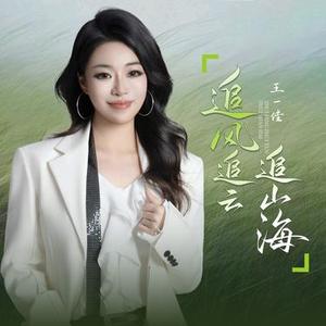 追风追云追山海 (王一佳 Remix)
