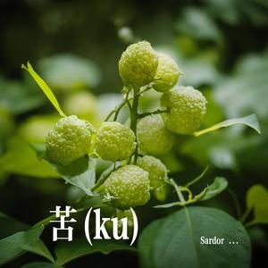 苦