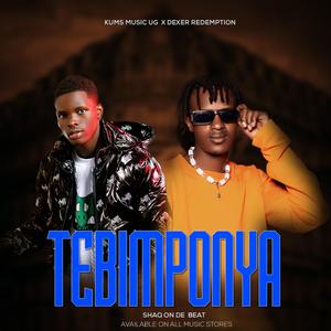 Tebimponya