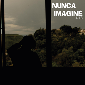 Nunca Imagine