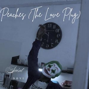 Peaches, The Love Plug