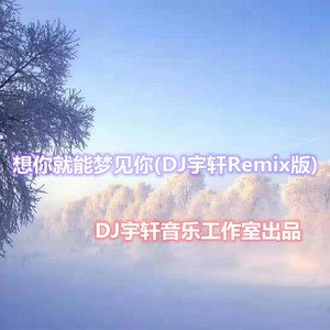想你就能梦见你 (DJ宇轩Remix吉特巴版)