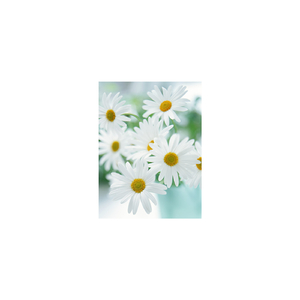 Democritus & Nervousness (Original Mix)