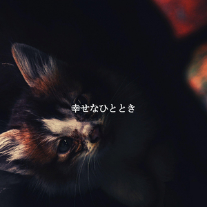 Easy Ambiance for Bangkok Coffee Bars