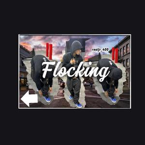 Flocking