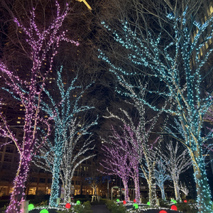 ILLUMINATE (feat. moxon & Chestar)